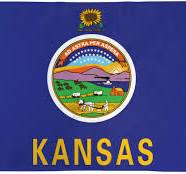 Kansas State Flag